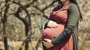 孕妇浮筋肚子上一条条青筋怎么消除_
